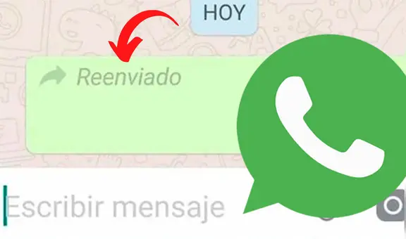 WhatsApp: ¿cómo mandar un mensaje sin que aparezca la etiqueta de reenviado?