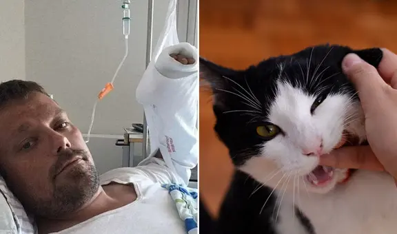 El dramático caso de Henrik: ¿cómo una mordedura de su gato le quitó la vida tras 4 años?