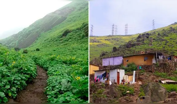 Traficantes de terrenos amenazan de muerte a defensores de las lomas en Lima