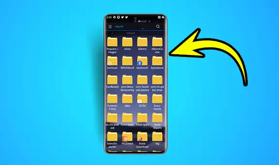¿Cuáles son las carpetas que nunca debes borrar en tu teléfono Android?