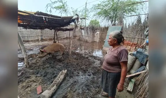 Decenas de familias lidian con el abandono estatal e inundaciones debido a lluvias en Piura