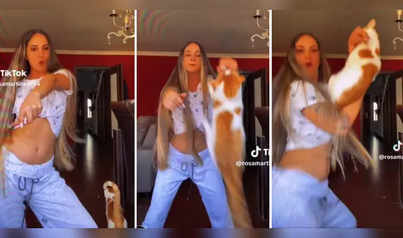 Gato 'volador' sorprende al dar tremendo salto mientras su dueña graba un TikTok