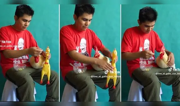Joven muestra en TikTok peculiar truco para que su gallo coma: "Así cualquiera aprende"
