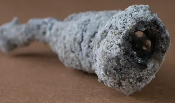 Impacto de rayo en un árbol crea un mineral 'alienígena' en la Tierra