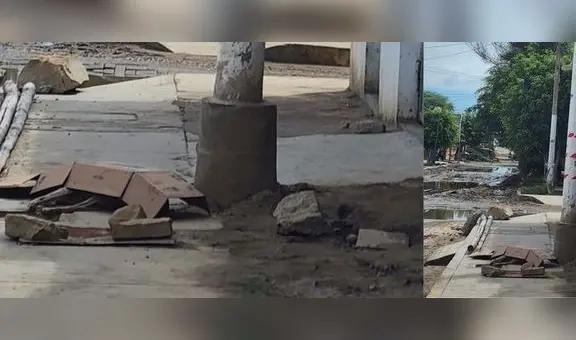 Perro muere electrocutado cuando intentaba orinar en poste de luz en Piura