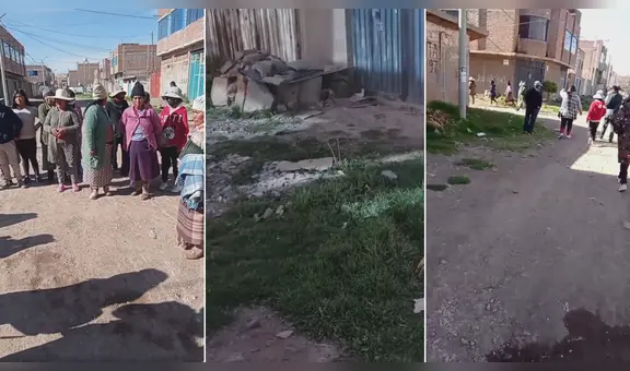 Ciudadanos denuncian envenenamiento de más de 10 canes en Juliaca