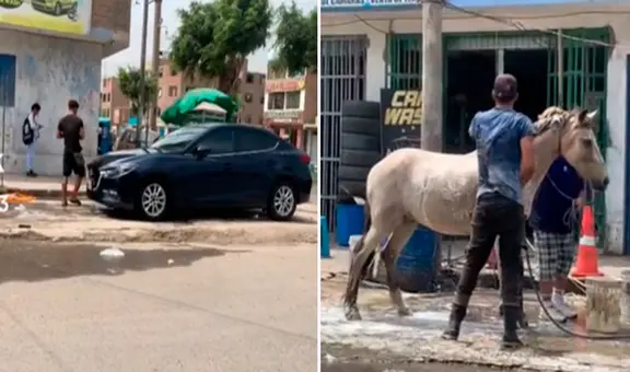 ¡Solo en Perú! Captan a lavacarros bañando un caballo en plena calle