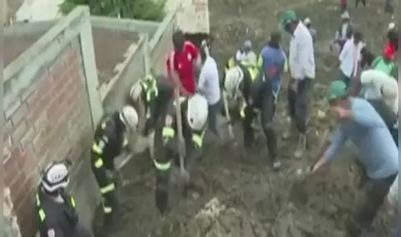 Huaral: rescatistas realizan búsqueda de mascotas atrapadas tras deslizamiento en La Perla