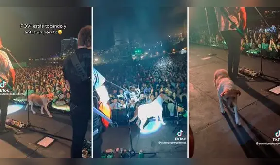 ¡La estrella del concierto! Perro sube al escenario de la banda Los Auténticos Decadentes y enternece al público
