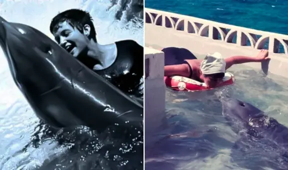 La triste historia de Peter, el delfín que se 'enamoró' de su entrenadora y murió por 'amor'