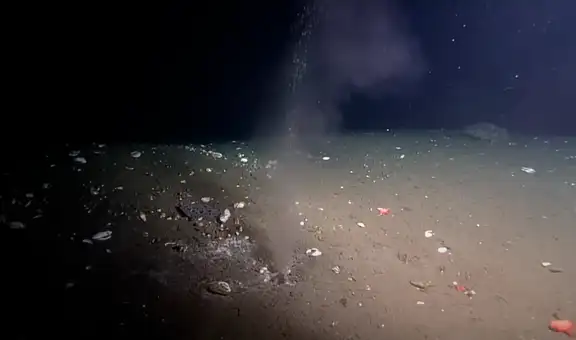 Fuga en el fondo del océano Pacífico podría ser el aviso de un terremoto destructivo