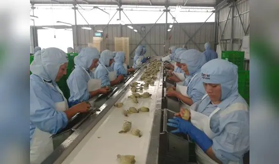 Agroexportaciones siguen creciendo en Chavimochic