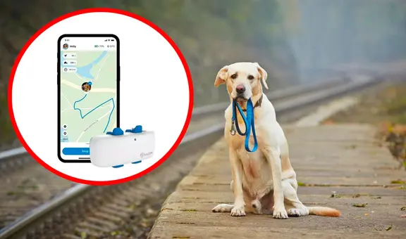 ¿Cómo usar tu teléfono para rastrear a tu perro y evitar que se pierda por accidente?