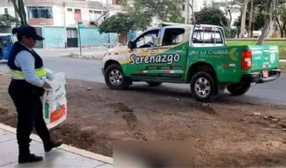 Sujeto persiguió y atropelló a perro causándole la muerte en Ica