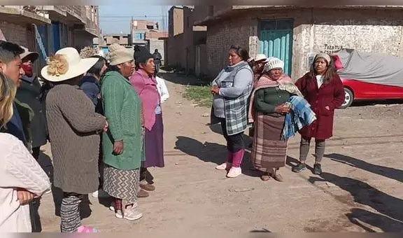 Buscan identificar a los responsables de la muerte de más de 10 canes en Juliaca