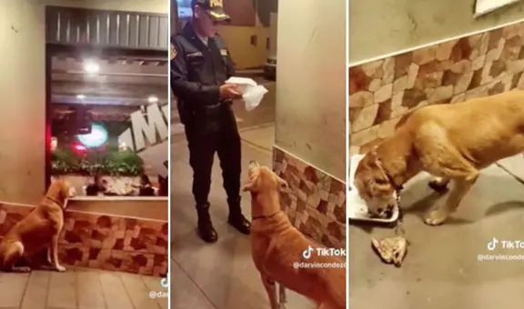 Policía se compadece de perrito callejero que miraba una pollería y le compra 1/4 de pollo a la brasa