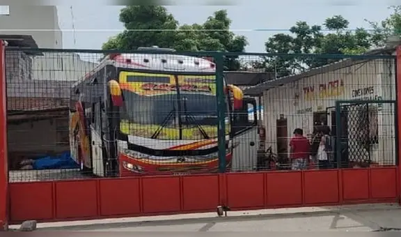 Tumbes: lanzan artefacto explosivo en empresa de transporte