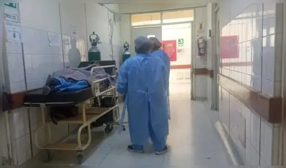 Hombre y su mascota canina fueron hallados muertos en su habitación en Arequipa