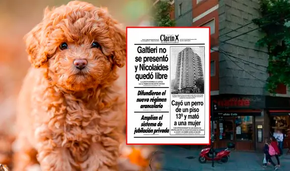 La insólita historia del perrito que cayó del piso 13 y provocó 3 muertes en Argentina