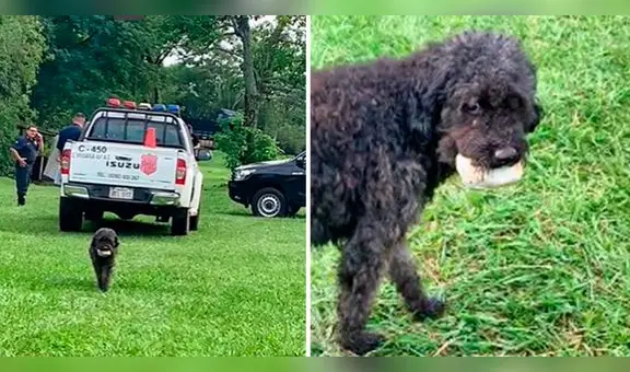 Perrito roba pan en pleno allanamiento de la Policía: “Eso sí es aprovechar las oportunidades”