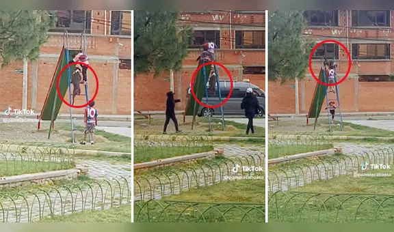 Perrito enternece las redes al jugar en resbaladera con niños: "Es más educado que cualquier humano"