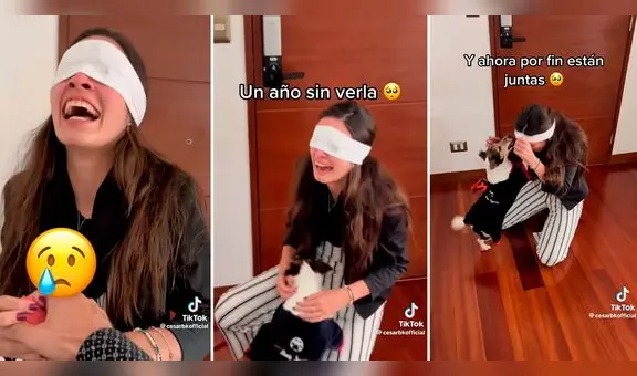 ¡Conmovedor! Joven sorprende a su enamorada con perrita que no veía desde hace 1 año