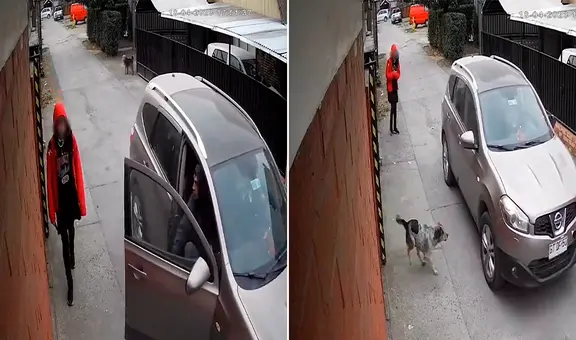 Momento en el que un perro frustra un asalto para defender a una niña que regresaba del colegio