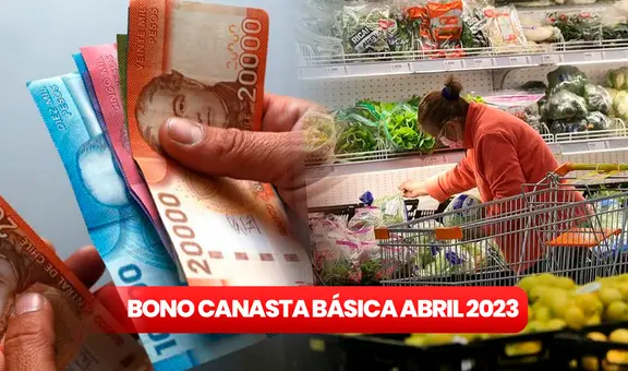 Bono Canasta Básica 2023: ¿cuándo pagan y cómo consultar con RUT si soy beneficiario?