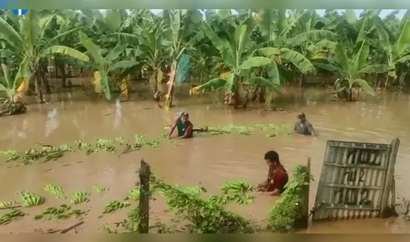 Agricultores cuya producción fue arrasada por las lluvias: "Queremos que la ministra se meta al agua"