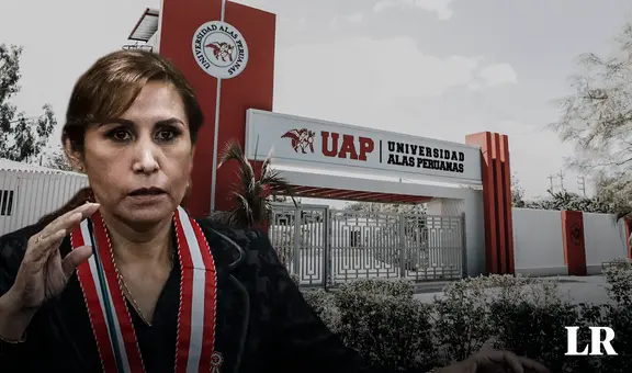 Fiscal de la Nación califica de "falacias" las críticas sobre sus tesis, pero sigue sin mostrarlas