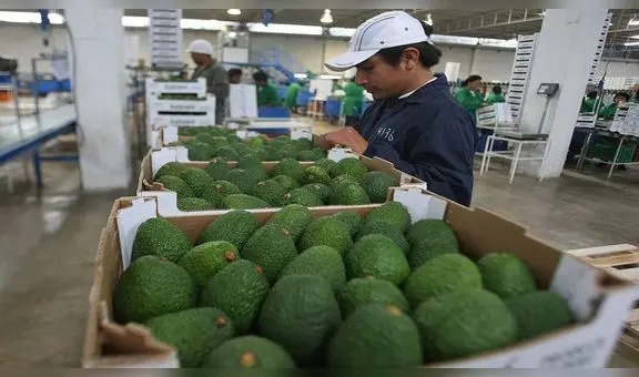 Exportaciones de La Libertad crecieron 15% el primer bimestre