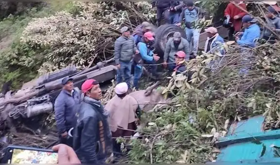 Camión sufre accidente y deja 3 animales muertos en Cajamarca