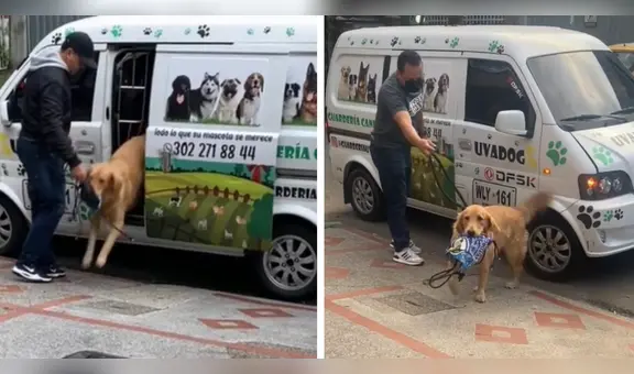 Perrito carga su lonchera al llegar de la guardería a su casa y enternece a usuarios: “Me enamoré”