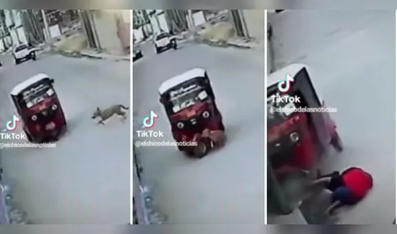 Perro choca con una mototaxi y conductor sale volando: “Firulais, ¿héroe o amenaza?”