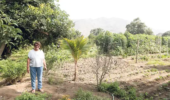 Agricultura orgánica: la opción de alimentos saludables que emplea a 110.000 productores