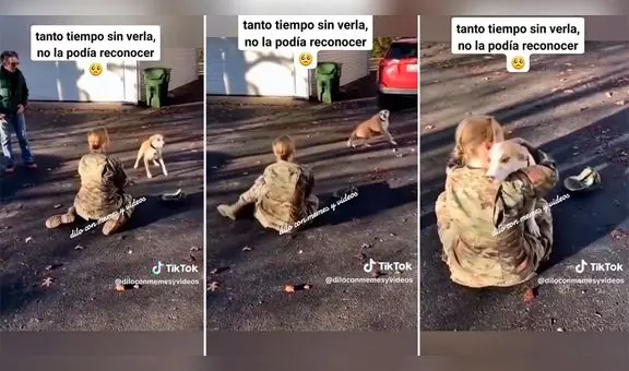 Perro se asusta al ver a su dueña, pero después de segundos la reconoce: “Ellos no olvidan”
