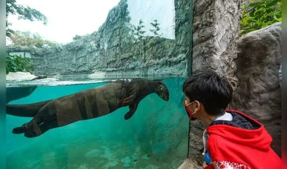 Viernes 28 de abril: ¿feriado o día no laborable? Te contamos qué dice la norma al respecto