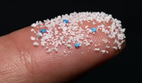 Detectan nanoplásticos entrando al cerebro 2 horas después de haber sido ingeridos
