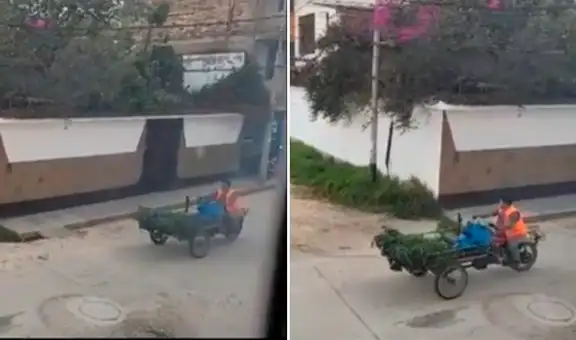 Peruano sorprende al imitar sonido de cuy para vender alfalfa: “Ese es mi Perú”