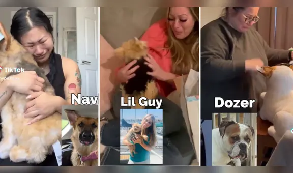 ¡Conmovedor! Personas rompen en llanto al ver a sus mascotas en réplicas de peluche