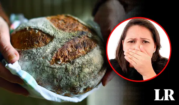 ¿Puedo comer pan con moho si le he cortado la parte mala?