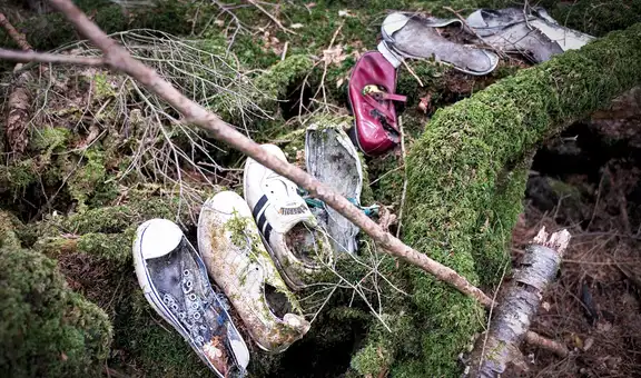 Aokigahara: ¿cuál es el origen del bosque donde miles de personas ponen fin a su vida?