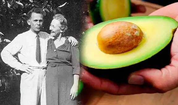 ¿Quién fue Rudolph, el cartero que descubrió la palta Hass, el fruto más rico del mundo?