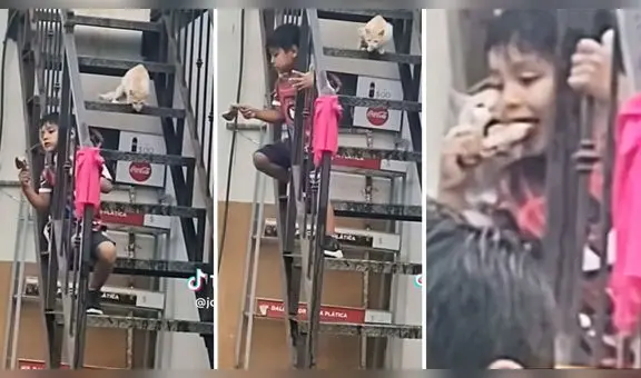Gato travieso roba presa de pollo a niño que se descuidó por un momento: "Camarón que se duerme..."