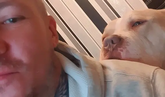 Perro muere dando la vida por su dueño tras alertar a tiempo de la explosión del scooter