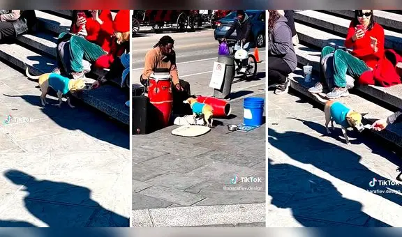 Perrito ayuda a cobrar a su dueño mientras este canta y sorprende en redes sociales: “Trabajo en equipo”