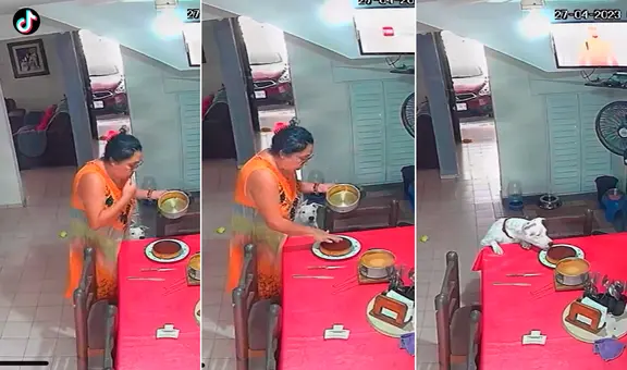 Perrito imita a su dueña y lame el postre que preparó: “Los que comieron el dulce quedaron en shock”