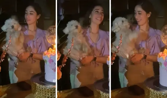 Perrito se hace viral por 'aplaudir' cuando le cantan "Cumpleaños feliz" a su dueña: "¡Qué tierno!"