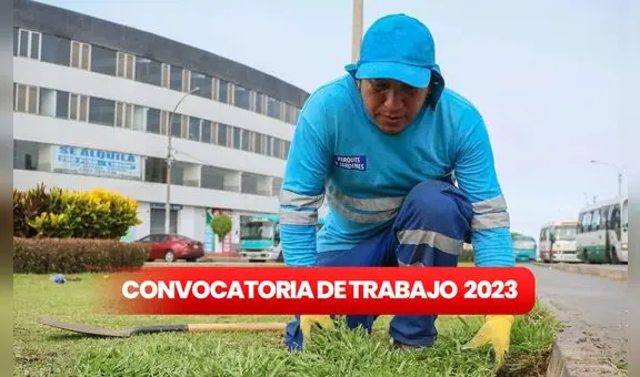 ¿Buscas trabajo? Municipalidad de San Miguel abre convocatoria con sueldos de hasta S/2.500