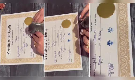 Perrito deja huella en acta de nacimiento y enternece en redes sociales: “Qué ternurita”